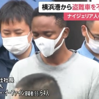ムサシ17歳 世界へ翔ぶ : ミッチと愉快な仲間たち