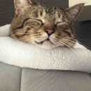 一子について（3）