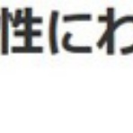 鳶の羽