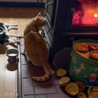 熱いはず