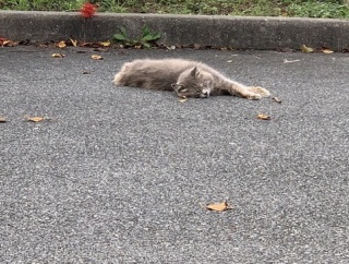 スーパーにて。毎回レシートのお釣りの額より500円位少なく渡してくる店員がいた。その度に「お釣り足りないんですけど」と優しく言って返して貰っていたんだが…
