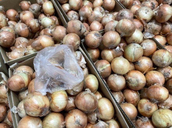 いろんな種類の野菜を詰め放題！『JA新潟かがやき 越王の里』で『野菜アラカルト詰め放題』開催！4月25日、26日。