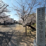 メゾンカルチャークラブ上尾テニススクールblog