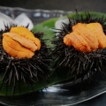 贅沢で濃厚な味わいを楽しむ：ウニとイクラのトマトクリームパスタ
