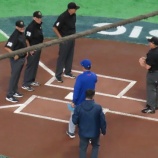 『PoolD、ドミニカ共和国とベネズエラが順当に勝ち進む』の画像