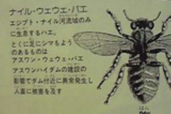 Eightbeat 今夜も山田 はいから狂いと七変化