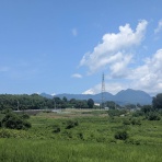 Ancient Botanical Garden