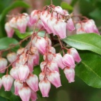 名歌名句鑑賞のblog