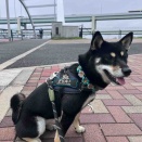 かみやショッピングセンターに行ってみた