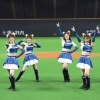 きつねダンス大流行ｗｗｗｗｗ