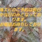 釣具のフレンド～釣り力ＵＰ～最新情報