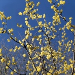 天然の素材100%,『自然流健康の家』に挑戦する笑顔の建築人です。!(^^)!