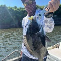 ボトムチニング始めました🎣