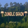 A short film celebrating Riku Matsumoto joining the HAYDENSHAPES　”JUNGLE BRAIN”