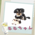 日々、ＪＡＭにあり