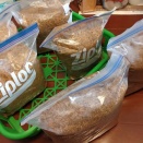 自作カワラ材2026／①今年は11本の大量仕込み