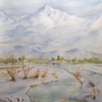 団塊Kei　こころ模様