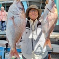 マダイ釣り　　～来週のご予定～
