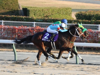 ダブルハートボンド（25/12/07・第26回 チャンピオンズカップ・中京競馬場）