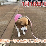 ガオだらけな日々　