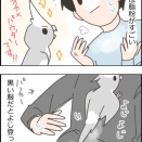 白いクスィー