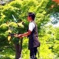 今回は、5/17(日)に「第59回〝福山ばら祭2026〟」行きのGONsanでした(^.-)☆(04)