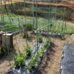 愛は最高な一人部屋