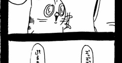 私のために争わないで