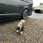 Hide san 色々日記