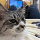月2回はやりすぎ