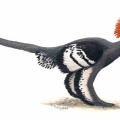 ティラノザウルスは音を立てずに忍び寄る