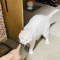 Mさんのお当番日記『もぅ子供ちゃうでぇ』。