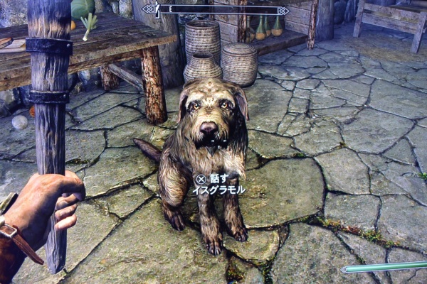 The Elder Scrolls Iv V Skyrim 攻略 人物紹介 動物