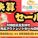 【今月中イベントのお知らせ🎉】