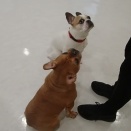 お勉強の時間【黄色の教室】🍋