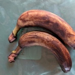 季節のアルバム