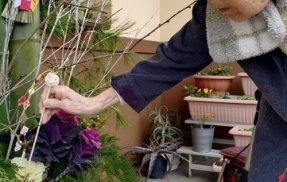 2026年門松🎍