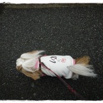 いつまでも一緒だよ♪