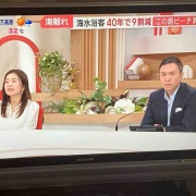 �������Τ��㤤ʪ�ϡ��ʤȺʤΤ����ͤ����ʤΤ������뤤����䤬�ɥ饤�С��Ǥ�