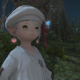 『FF14 無人島で珍客?エンジョイ野郎どものクエストをやってバロニアル装備をもらって着てみたらとっても素敵ですヾ(〃^∇^)ノ 開拓ランク15 レベル1』の画像