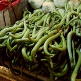 �ع����Ծ��ؤ�10 - �����ν��ػҤϥޥ󥰥����֤˼¤롣�٤β���