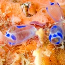 2025年　有難う御座いました。