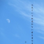 小夜衣 　（五七五ブログ）