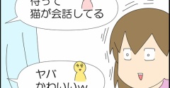 騙してごめんなさい
