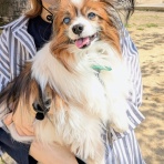 専業主婦まさきの一日