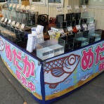 温泉めだかのブログ