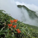 すみだ山の会（2026年9月例会報告）
