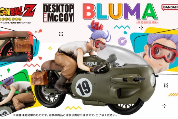 ドラゴンボール　ダイマツリ　プレミアチケット　入場特典　非売品　フルセット　+α ドラゴンボール ダイマツリ プレミアチケット 入場特典 非売品