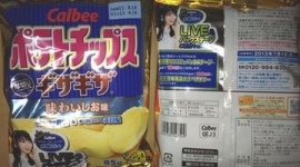 水樹奈々のライブ応募券目当てにポテチ１０００袋を購入 → 処分に困って不法投棄した男を逮捕