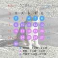 １０・１１月 講習日程のお知らせ🍁